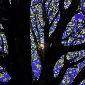 Meet your Posher, Dylan